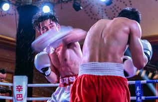 吃瓜娱乐拳击视频,吃瓜娱乐拳击视频大盘点